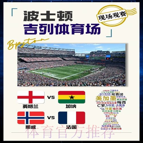 世界杯法国哈兰德小组赛形势深度解读