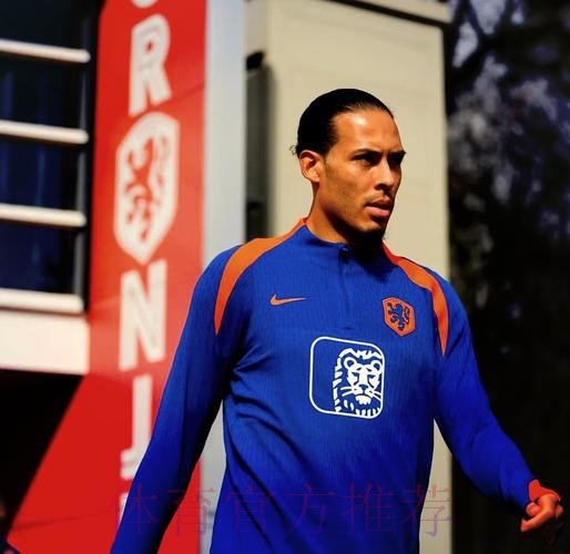 本届世界杯荷兰德布劳内阵容解析完整指南 本届世界杯荷兰德布劳内阵容解析完整指南