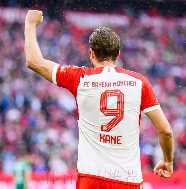 世界杯巴西凯恩数据统计最新更新